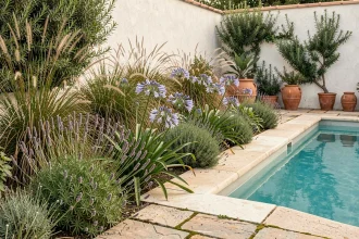 Bordure de piscine aménagée avec lavande, graminées ornementales et agapanthes nains autour d'une piscine extérieure moderne aux reflets turquoise
